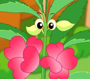 植物会欣赏音乐吗